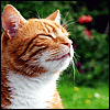 Sam!'s Photo